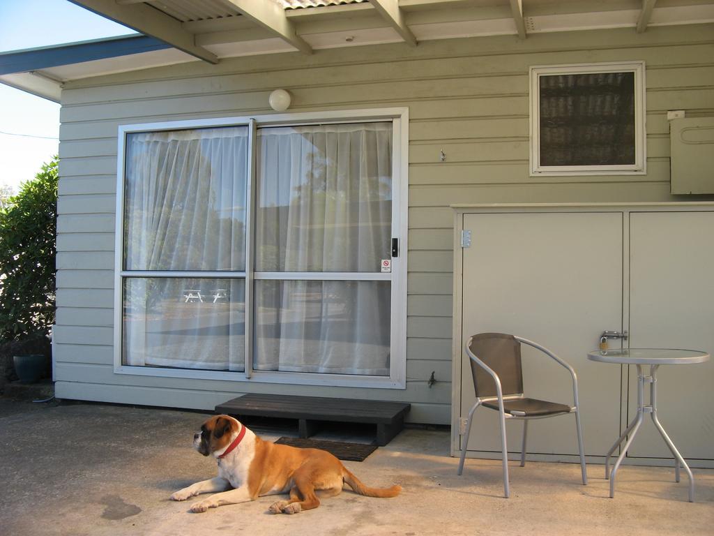 Tongariro River Motel Терейнджи Номер фото